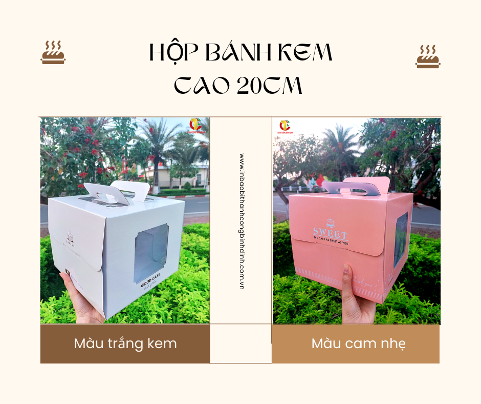 Mẫ hộp bánh kem từ giấy tái chế