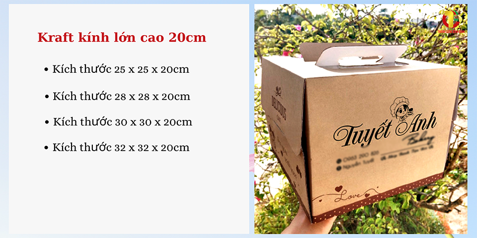 Họp giấy Kraft có kinh cao 25cm