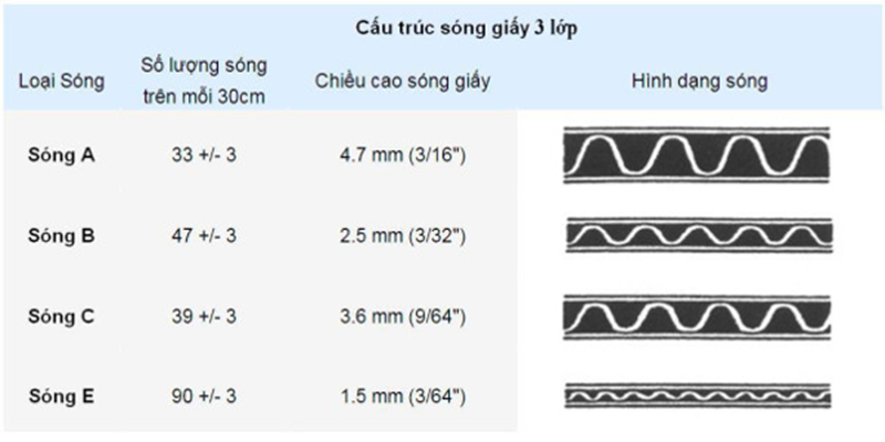 Lớp giấy đáy 