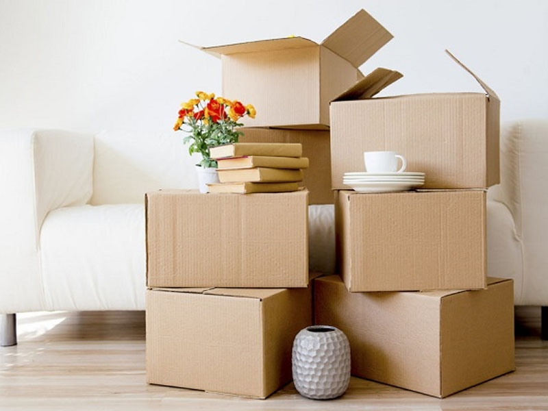Chọn lựa kỹ giấy carton